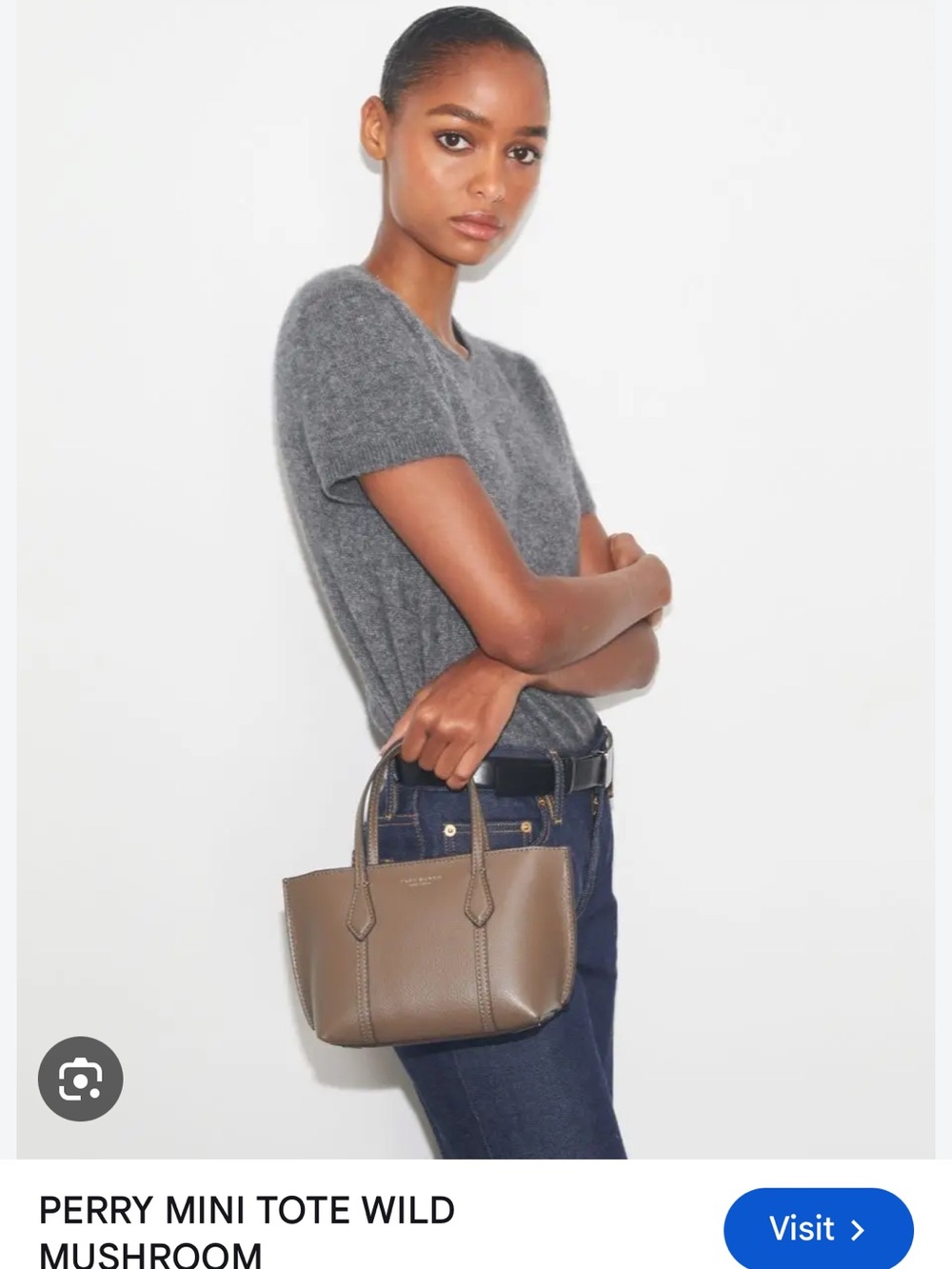 Tory Burch Perry Mini Tote in Mushroom Brown